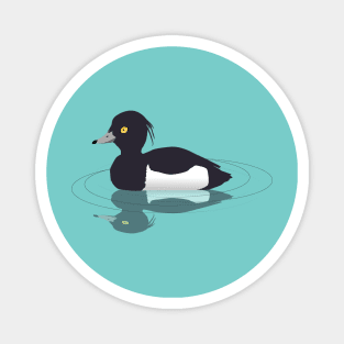 Tufted duck Magnet